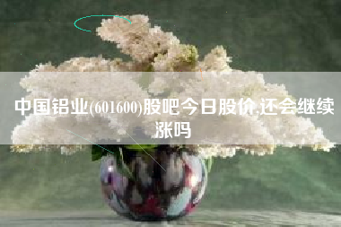 中国铝业(601600)股吧今日股价,还会继续涨吗