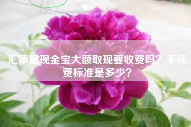 汇添富现金宝大额取现要收费吗？手续费标准是多少？