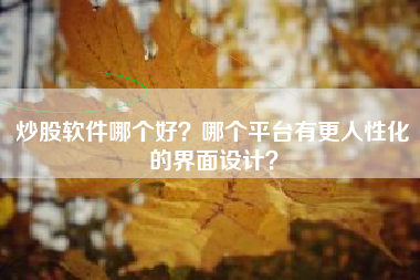 炒股软件哪个好？哪个平台有更人性化的界面设计？