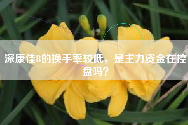 深康佳B的换手率较低，是主力资金在控盘吗？