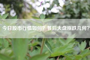 今日股市行情如何？节后大盘涨跌几何？