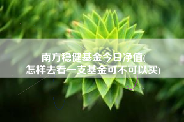 南方稳健基金今日净值(
怎样去看一支基金可不可以买)