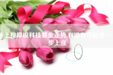 上投摩根科技基金走势,有没有可能进一步上涨