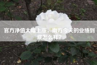 官方净值大幅上涨，南方今天的业绩到底怎么样？