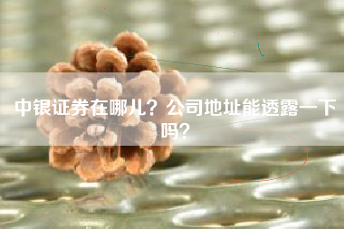 中银证券在哪儿？公司地址能透露一下吗？