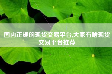 国内正规的现货交易平台,大家有啥现货交易平台推荐