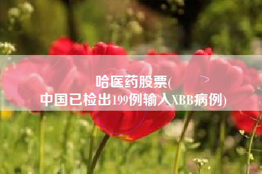 哈医药股票(
中国已检出199例输入XBB病例)