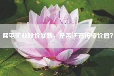 盛屯矿业股价暴跌，是否还有投资价值？