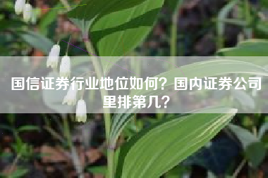 国信证券行业地位如何？国内证券公司里排第几？