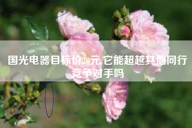 国光电器目标价20元,它能超越其他同行竞争对手吗