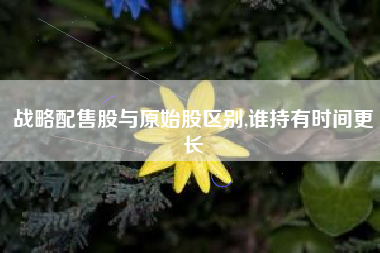 战略配售股与原始股区别,谁持有时间更长