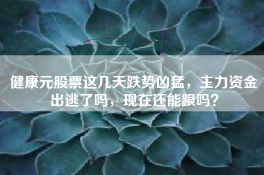 健康元股票这几天跌势凶猛，主力资金出逃了吗，现在还能跟吗？