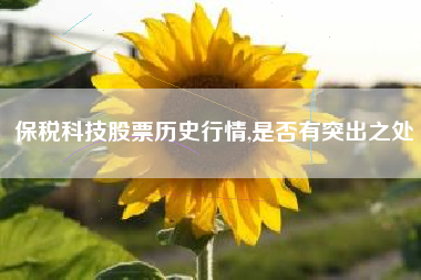 保税科技股票历史行情,是否有突出之处