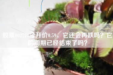 股票002770今开价0.59，它还会再跌吗？它的周期已经结束了吗？