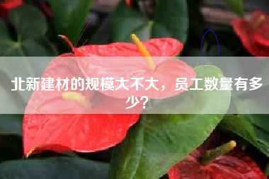 北新建材的规模大不大，员工数量有多少？