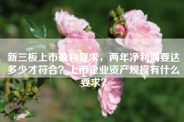 新三板上市盈利要求，两年净利润要达多少才符合？上市企业资产规模有什么要求？