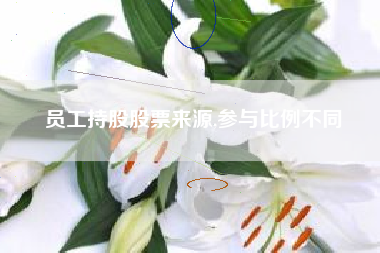 员工持股股票来源,参与比例不同