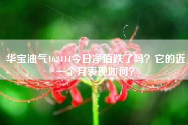 华宝油气162411今日净值跌了吗？它的近一个月表现如何？