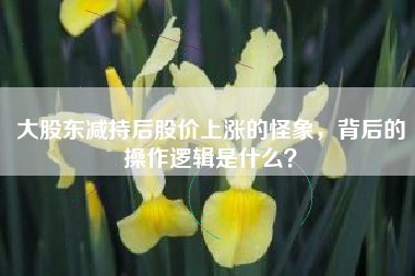 大股东减持后股价上涨的怪象，背后的操作逻辑是什么？