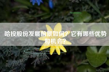 哈投股份发展前景如何？它有哪些优势和机会？