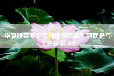 华夏股票基金亏损还在持续？到底是亏了还是赚了？