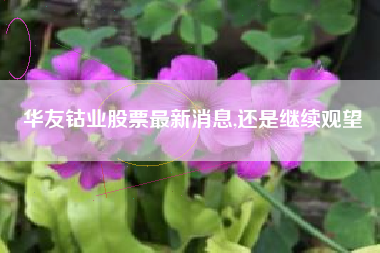 华友钴业股票最新消息,还是继续观望