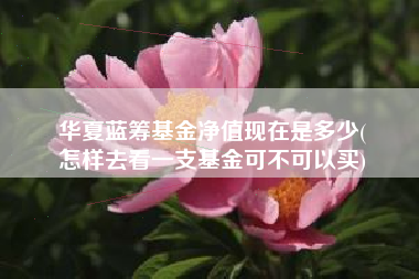 华夏蓝筹基金净值现在是多少(
怎样去看一支基金可不可以买)