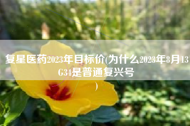 复星医药2023年目标价(为什么2023年8月13G34是普通复兴号
) 复星医药2023年目标价(为什么2023年8月13G34是普通复兴号
)