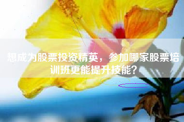 想成为股票投资精英，参加哪家股票培训班更能提升技能？