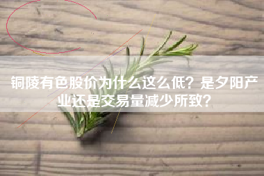 铜陵有色股价为什么这么低？是夕阳产业还是交易量减少所致？