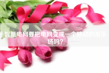智能电网要把电网变成一个移动的游乐场吗？