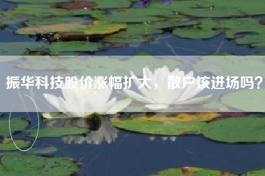 振华科技股价涨幅扩大，散户该进场吗？