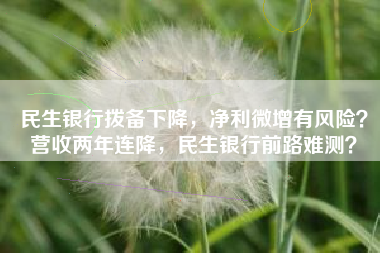 民生银行拨备下降，净利微增有风险？营收两年连降，民生银行前路难测？