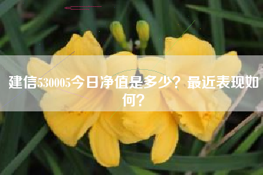 建信530005今日净值是多少？最近表现如何？