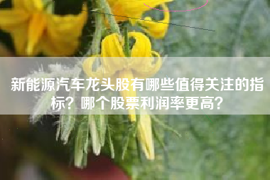 新能源汽车龙头股有哪些值得关注的指标？哪个股票利润率更高？