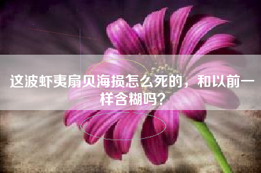 这波虾夷扇贝海损怎么死的，和以前一样含糊吗？