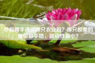 炒股新手该买哪只农业股？哪只股票的股价最平稳，波动性最小？