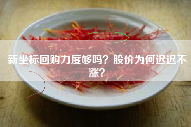 新坐标回购力度够吗？股价为何迟迟不涨？
