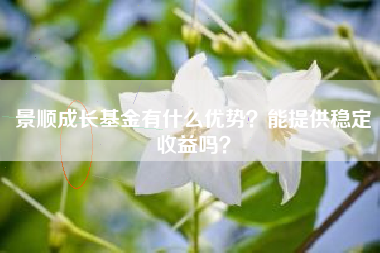 景顺成长基金有什么优势？能提供稳定收益吗？