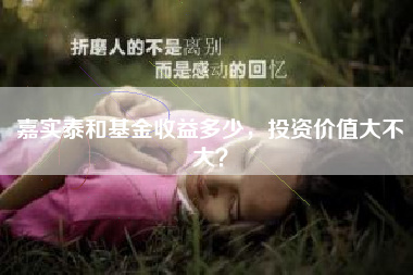 嘉实泰和基金收益多少，投资价值大不大？