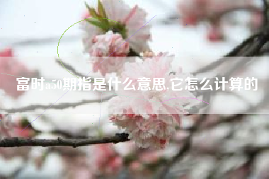 富时a50期指是什么意思,它怎么计算的