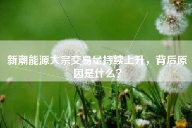 新潮能源大宗交易量持续上升，背后原因是什么？