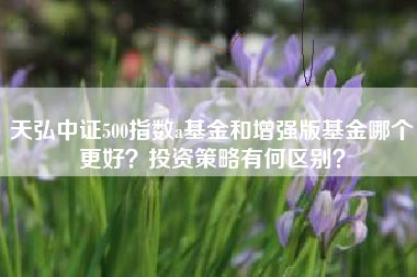 天弘中证500指数a基金和增强版基金哪个更好？投资策略有何区别？
