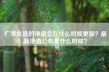 广发优选的净值会在什么时候更新？最新净值公布是什么时候？