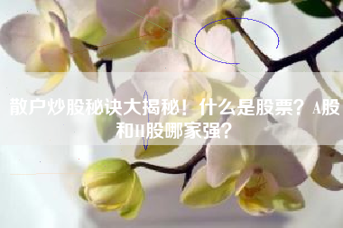 散户炒股秘诀大揭秘！什么是股票？A股和H股哪家强？
