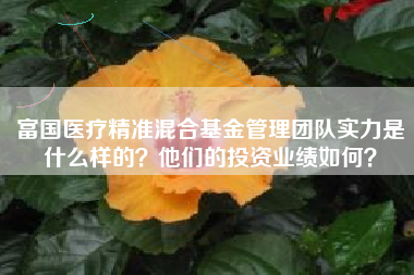 富国医疗精准混合基金管理团队实力是什么样的？他们的投资业绩如何？