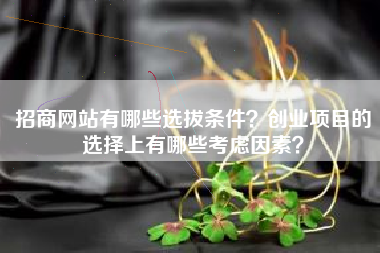招商网站有哪些选拔条件？创业项目的选择上有哪些考虑因素？
