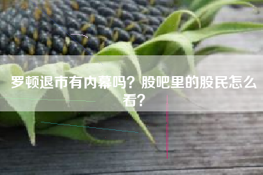 罗顿退市有内幕吗？股吧里的股民怎么看？