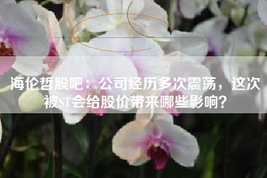 海伦哲股吧：公司经历多次震荡，这次被ST会给股价带来哪些影响？