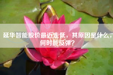 延华智能股价最近走低，其原因是什么，何时能反弹？